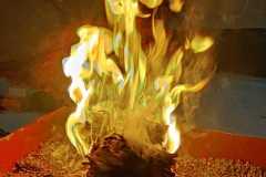 IMG-20230119-WA0050